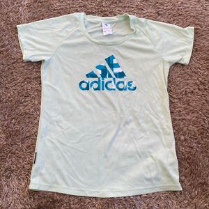 t6 adidas Tシャツ サイズL表記 中国製