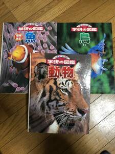 学研の図鑑　NEW WIDE ニューワイド　　動物　鳥　魚3冊セット