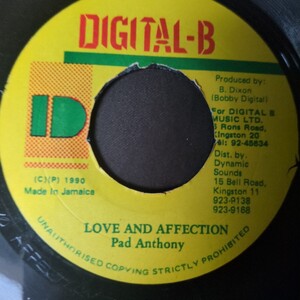 Pad Anthony / Love And Affection Party Time Riddim