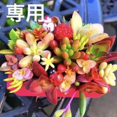 そのまま飾れる多肉植物寄せ植え　ミニ　管理書付