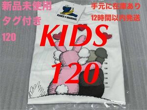 ☆新品未使用☆UNIQLO ×KAWS カウズ ＋ ウォーホル UT 120③