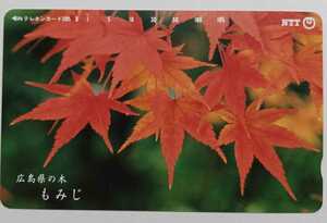 ●●　広島県の木　もみじ　105度テレカ　未使用