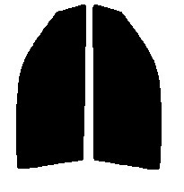 ライトスモーク　５０％ 運転席、助手席　シルビア　S14　カット済みフィルム
