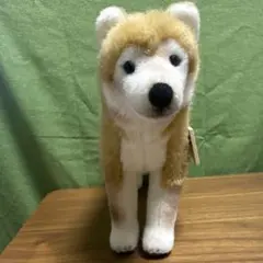 ケーセン柴犬　ぬいぐるみ