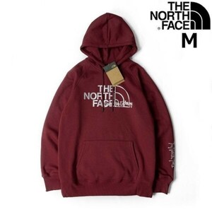 売切り【正規新品】THE NORTH FACE W GRAPHIC INJECTION HOODIE パーカー US限定 メタリックシルバー 裏起毛 男女兼用(M)赤 181130-23