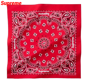 新品【Supreme Hav-A-Hank Bandana Red 1枚 シュプリーム バンダナ ハバハンク レッド 24SS ペーズリー ハンカチ】