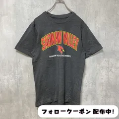 古着 used　SAGINAW VALLEY STATE UNIVERSITY　半袖カレッジプリントTシャツ　グレー