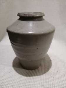 白磁壺　17世紀　中国　GUN POWDER JAR　壷　小壷　茶壺　白磁　青磁　中国　清朝　古玩　58NB14o5