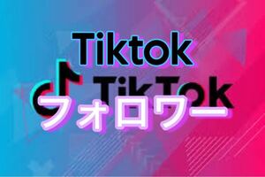 【2000 Tiktok フォロワー 増加できるツール】ユーチューブ フォロワー いいね 再生数 チャンネル登録者 Instagram ティックトック