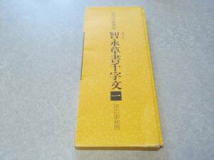 拡大法書選集 29 智永草書千字文一　二玄社