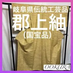 ☘️早い者勝ち☘️【国宝品】●岐阜県無形文化財【郡上紬】●幻の紬●草木染●紬●着物