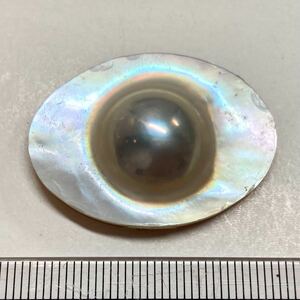 変形!!◯マベパール29.04ct◯o 約25.5×34.9mm ルース 裸石 宝石 ジュエリー jewerly mabe Pearl w5 c7