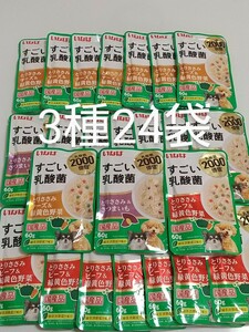 いなば すごい乳酸菌 60g×3種24袋 ドッグフード パウチ 犬