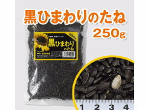 【レターパック発送】富城物産 黒ひまわりのたね 250g　小動物エサ 鳥類エサ　管理LP1