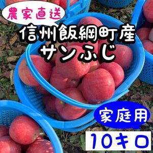 長野県産　サンふじりんご　家庭用10キロ