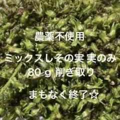 まもなく終了販売 農薬不使用栽培 野菜詰め合わせ 紫蘇の実 80ｇ 実のみ！