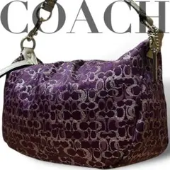 【極美品】　COACH　アクセサリーポーチ　ハンド　シグネチャー　紫　キャンバス