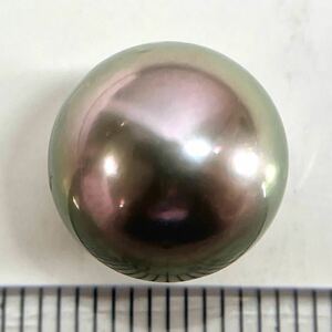 ≪南洋黒蝶真珠14.000ct≫n 約12.5mm ルース 裸石 宝石 black tahitian pearl 真珠 DH4/DH4 テED5 w2 84