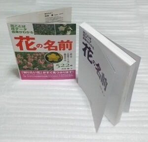 花の名前 庭の花 花屋さんの花 園芸店の花522種 花ことばデータ由来 写真 百科事典ガーデニング フラワーアレンジメント歴史 9784528016408