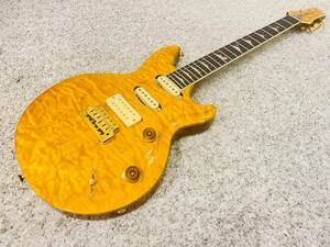 Terry C. McInturff Guitars Zodiac テリー マッキントフ ギターズ ゾディアック 調整済♪HG