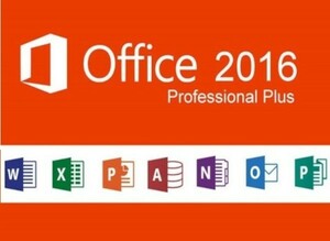 【即応】Office2016 Professional Plus / ダウンロード版＜日本語版・永続版・PC1台分＞