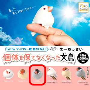 § 個体を保てなくなった文鳥　（てのひらグレー）