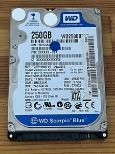 WESTERN DIGITAL WD2500BPVT ウエスタンデジタルスコーピオブルー WD2500BPVT 250GB 5400RPM SATA2