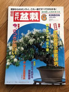 ■雑誌「近代盆栽」2002年6月号