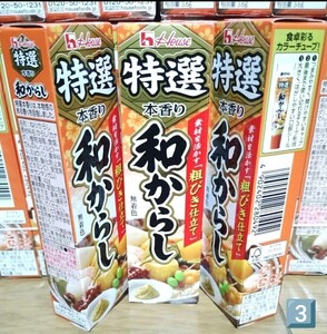 ハウス食品 特選本香り和からし 調味料 チューブ 限定 得 香辛料 スパイス ねり ハウス 食品 特選本香り 和からし からし 特選 1円スタート