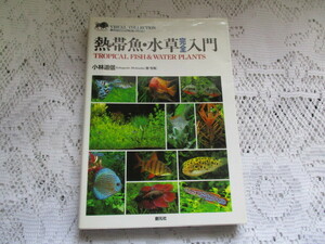 ☆熱帯魚・水草　完全入門　小林道信　創元社☆