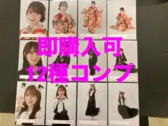 守屋麗奈　櫻坂46 振袖　年末衣装　いぬみみ　生写真　12種コンプ