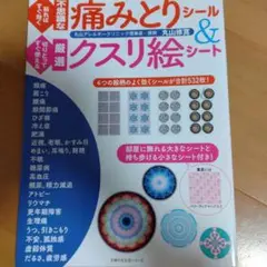 貼ればすぐ効く不思議な痛みとりシール&切りとってすぐ使える厳選クスリ絵シート