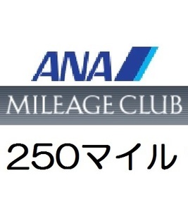 全日空ANA250マイル　希望の口座へ加算