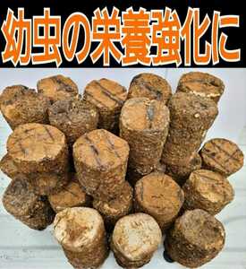 カブトムシ幼虫の栄養強化に！椎茸菌床ブロック【5個】マットに埋め込むだけで幼虫が潜り込みモリモリ食べて大きくなります！クヌギ100％