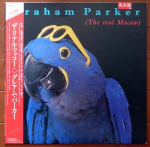 Graham Parker（グレアム・パーカー）LP「The Real Macaw（邦題：ザ・リアル・マッコー）」美品、帯付き 見本盤 洗浄、再生確認済み