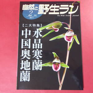 YN4-241219☆自然と野生ラン 2011年2月号　※ 水晶寒蘭 中国奥地蘭 フクエジマカンアオイ ※ 園芸JAPAN