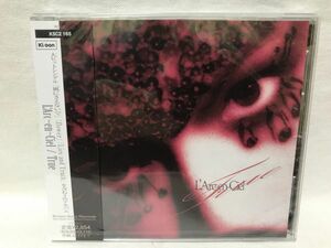 未開封品 THE WASTED CD DEAR DORK B780