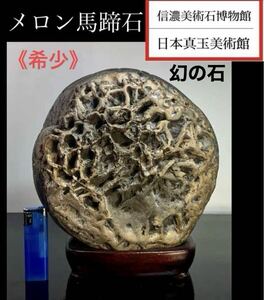 【信濃美術石博物館】水石 《幻の石》メロン馬蹄石 横20×高23×奥行17(cm) 6.14kg 盆栽骨董盆石古美術鑑賞石観賞石太湖石中国古玩 4190