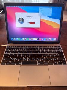 Apple MacBook 12-inch 1.2GHz 8GB 512GB (Retina 12-inch Early 2015) Space Gray Model:A1534