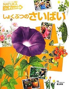 しょくぶつのさいばい フレーベル館の図鑑ナチュラ ふしぎをためす図鑑/肥土邦彦【監修】