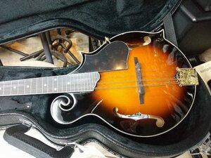 ハードケース付き　本体調整済み！Aria　AM-40 　Mandolin　マイク搭載!! アンプに繋げる　アリア　　マンドリン　Fタイプモデル　