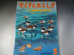 月刊 たくさんのふしぎ 2006年5月　小さな四角い海・谷津干潟