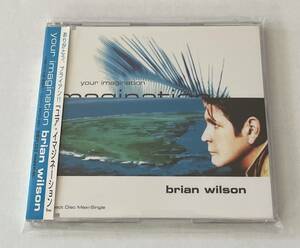 M4731◆BRIAN WILSON/ブライアン・ウィルソン◆YOUR IMAGINATION/ユア・イマジネーション(1CD)帯付き日本盤