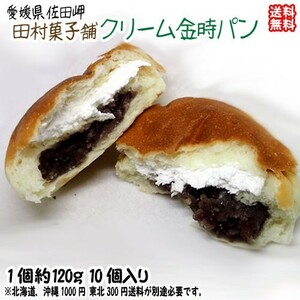 愛媛 佐田岬 クリーム金時パン 10個入 三代伝承の味 宇和海の幸問屋 送料無料