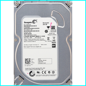 Seagate ST250DM000-1BD141-501 DP/N 0YVMKX 3.5インチ SATA600 250GB 1231回 10574時間