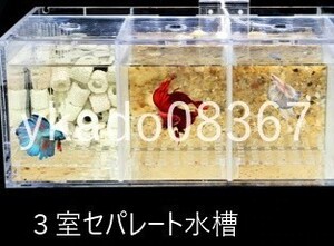 YF031:★人気商品★アクリル製の水槽隔離ボックス,guppy,小さな透明な水族館の装飾