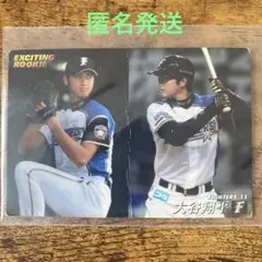 レア⭐︎プロ野球チップスカード2013 大谷翔平選手　打者 投手 二刀流