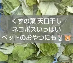 ☆大特価☆ 福岡県産 くずの葉 葛の葉 天日干し ネコポスいっぱい