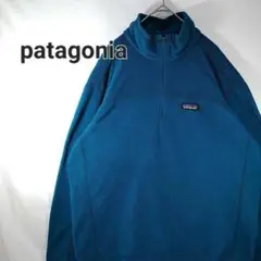 【美品】patagonia　パタゴニア　ハーフジップ　フリース　ハイネック