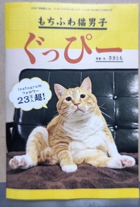 猫 別冊付録24P サイズ20×13.8cm